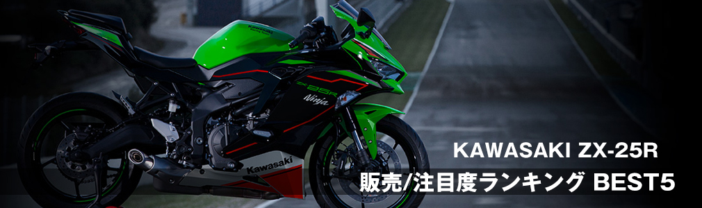 zx25rスクリーン（AELLA） 欲しく